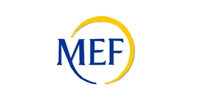mef-clienti-geomap